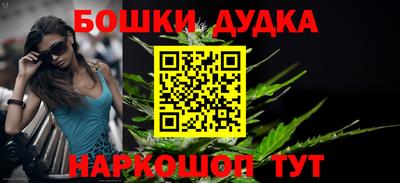 сатива Анжеро-Судженск
