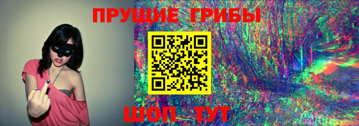 Галлюциногенные грибы GOLDEN TEACHER Бийск